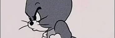狐狸生活觀察家