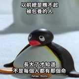 咪咪貓貓🐱