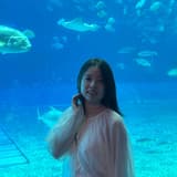 阿摸Amo