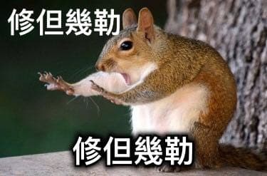 修蛋幾勒- 梗圖板| Dcard