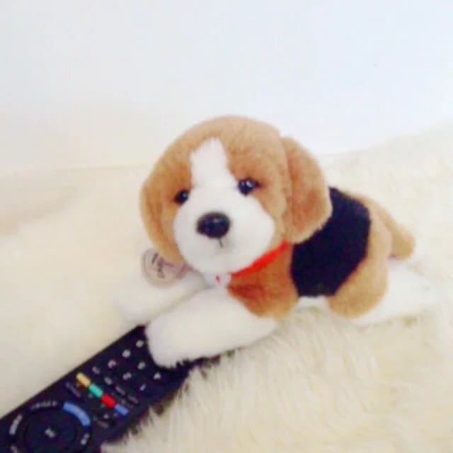 megapx