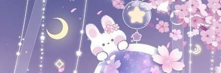 ʚ兔子ɞ