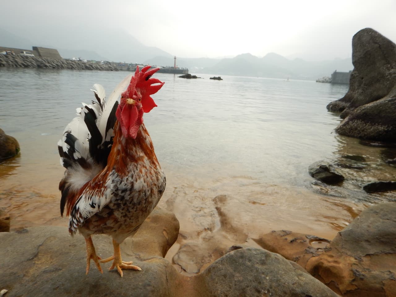 megapx