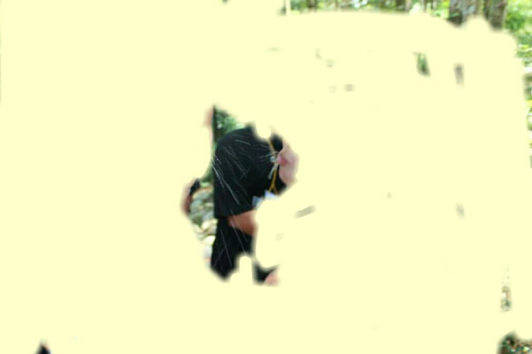 megapx