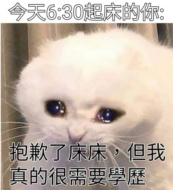 痛苦的me: - 梗圖板 | Dcard
