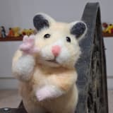 小鼠