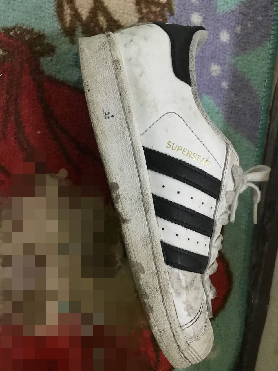 megapx