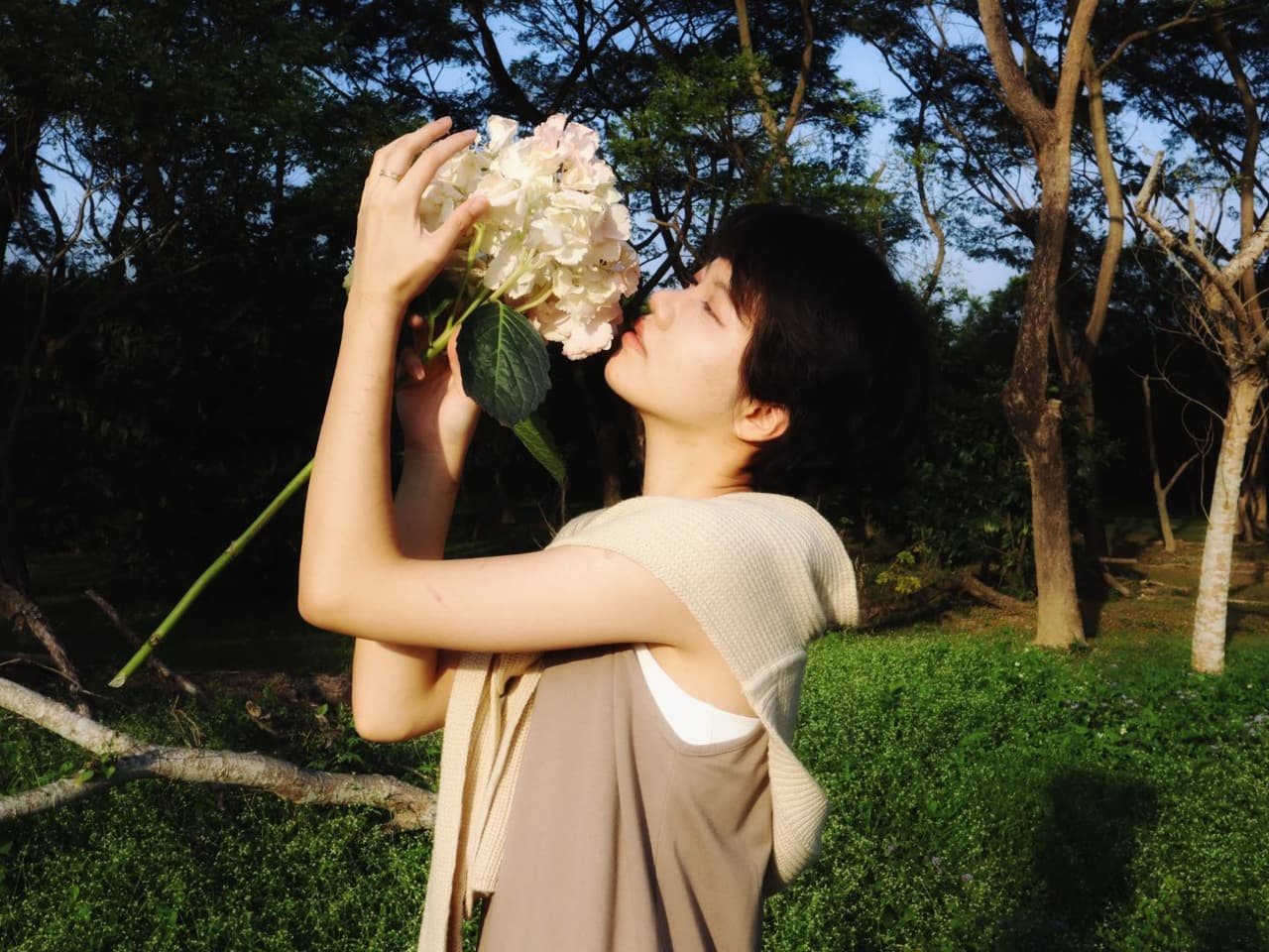 megapx