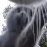 哈密呱