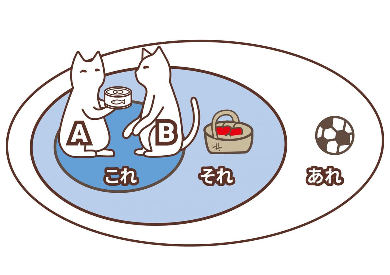 最簡單的東西，總是最難學，來談談「こ、そ、あ」的用法吧！ - 王可樂日語 (@wangcolaneko) | Dcard
