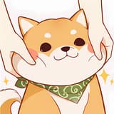 柴柴