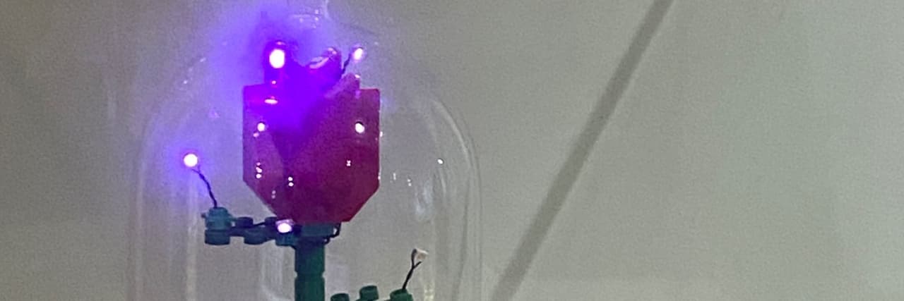 羞羞滴玫瑰🌹