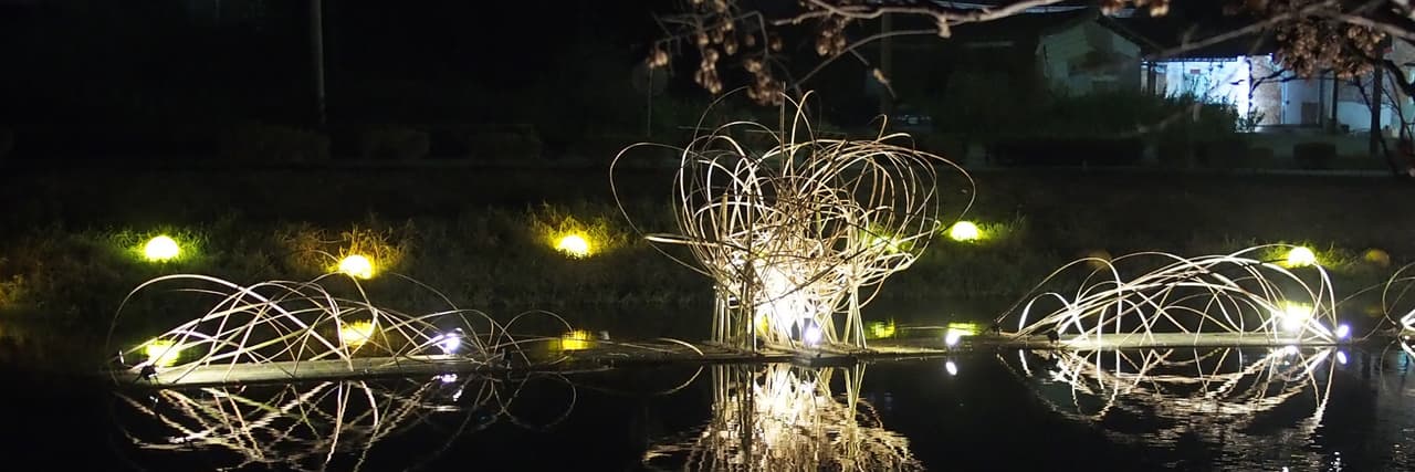 玄燈🪔學占卜