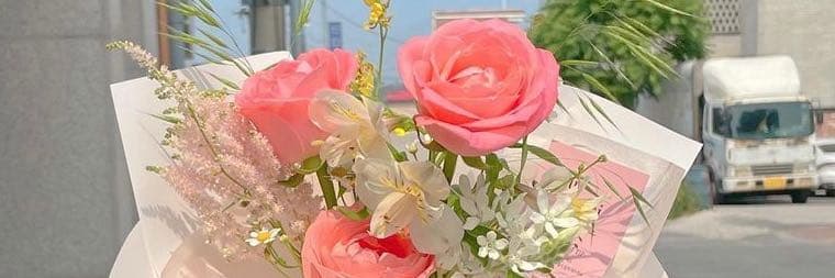 韓國大白菜