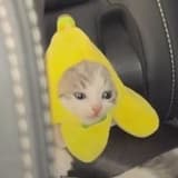 xoooyvaf