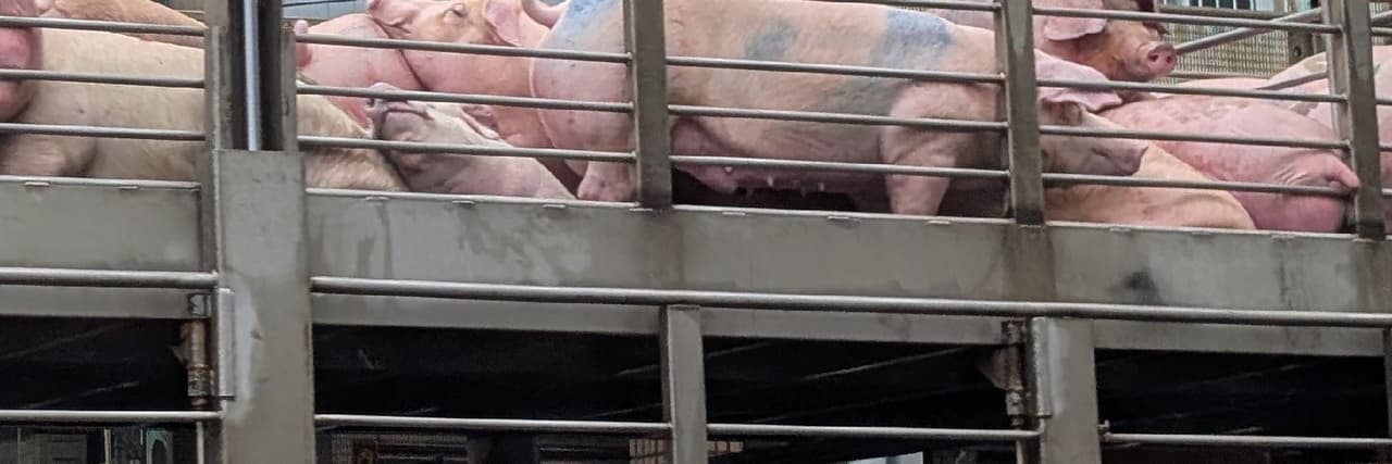 我是誰