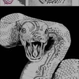 q@_@p