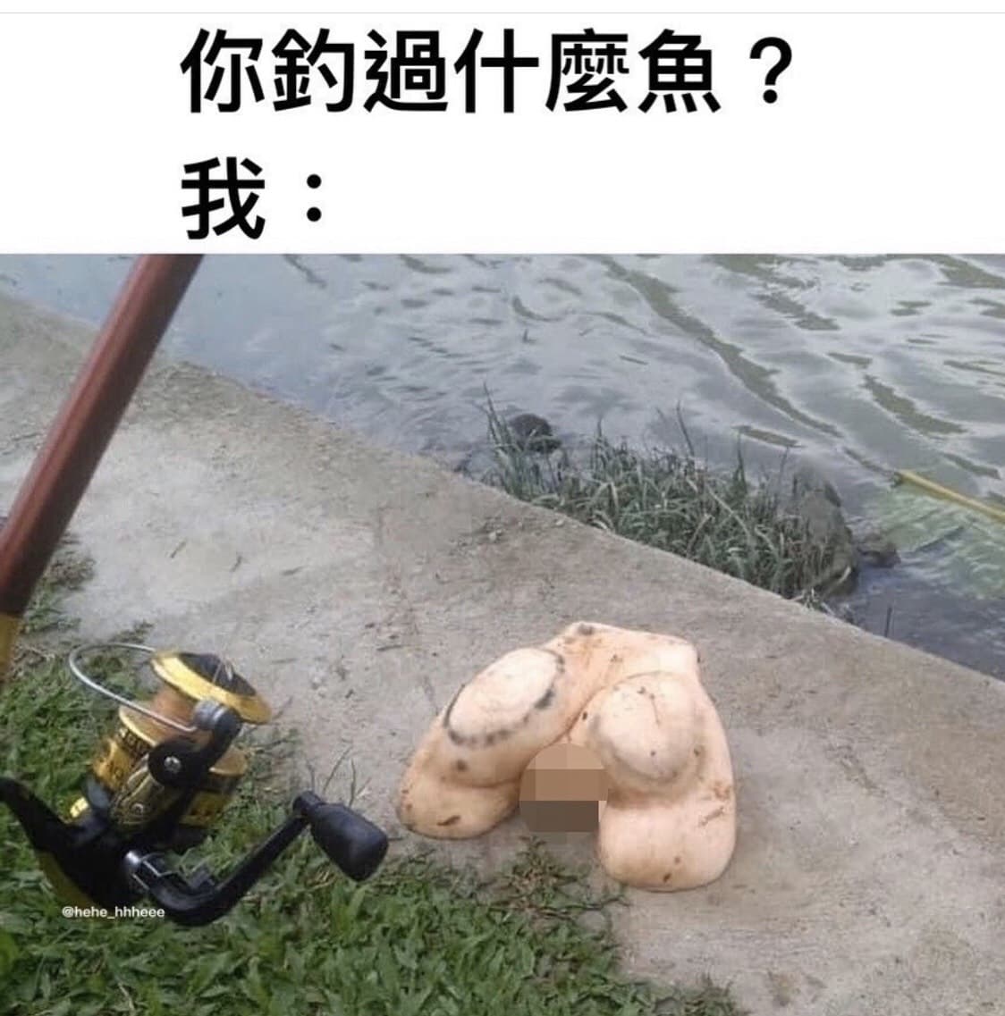 釣魚～釣魚～釣到什麼魚 - 梗圖板 | Dcard