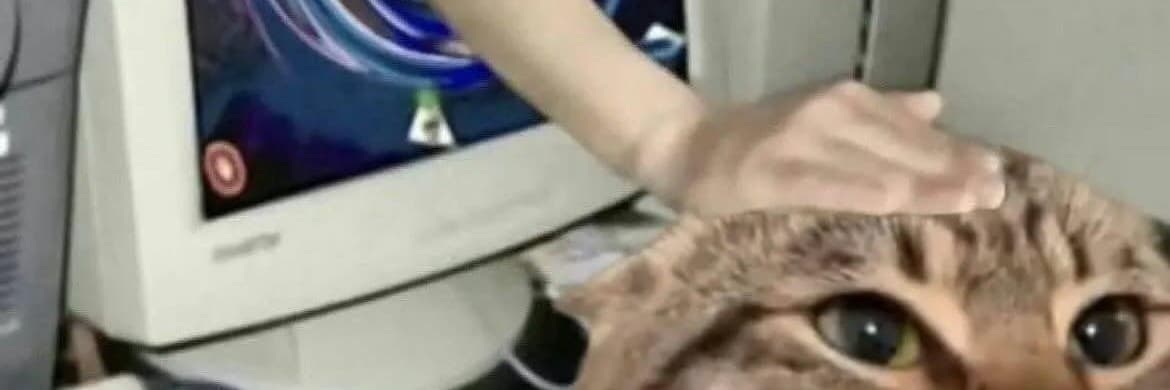 貓貓頭社長