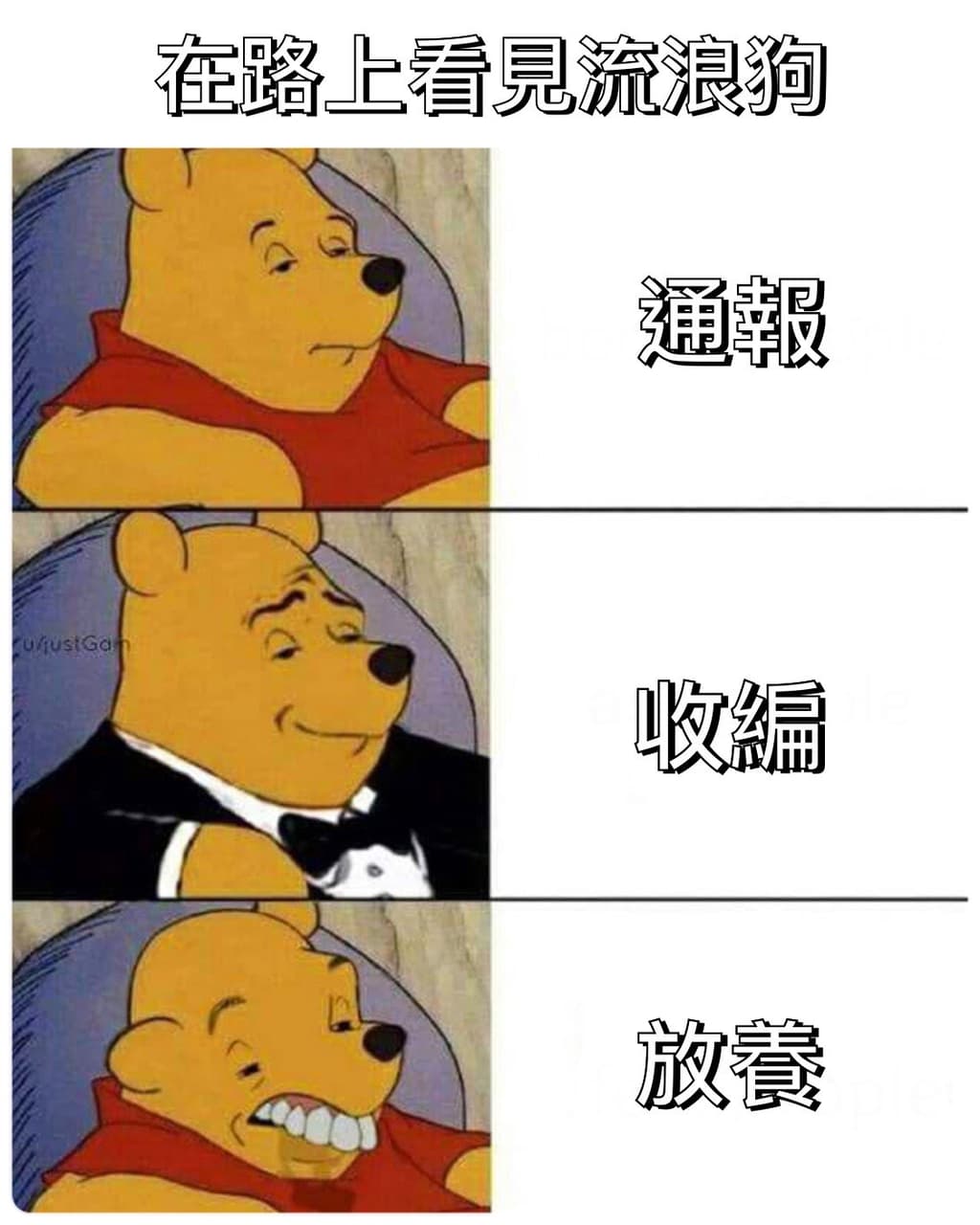 #自創 浪浪 - 梗圖板 | Dcard