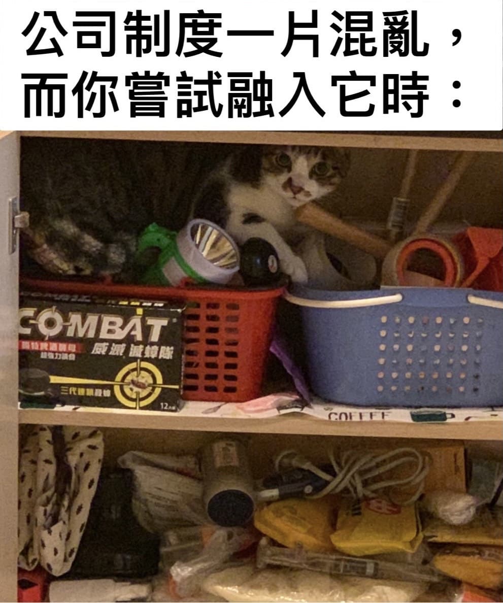 沒事啦,我適應力很好 :) - 梗圖板 | Dcard