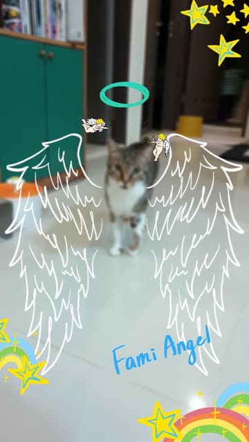 megapx