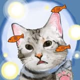 catandsky