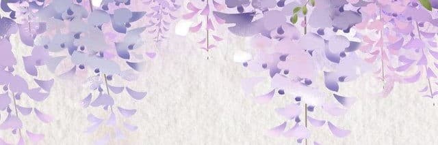 宅宅