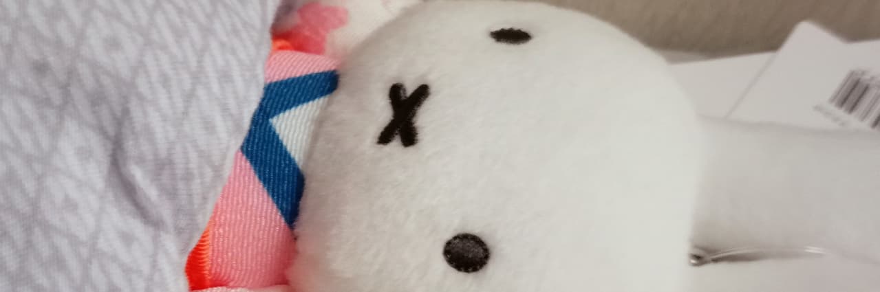 美食兔苺莓