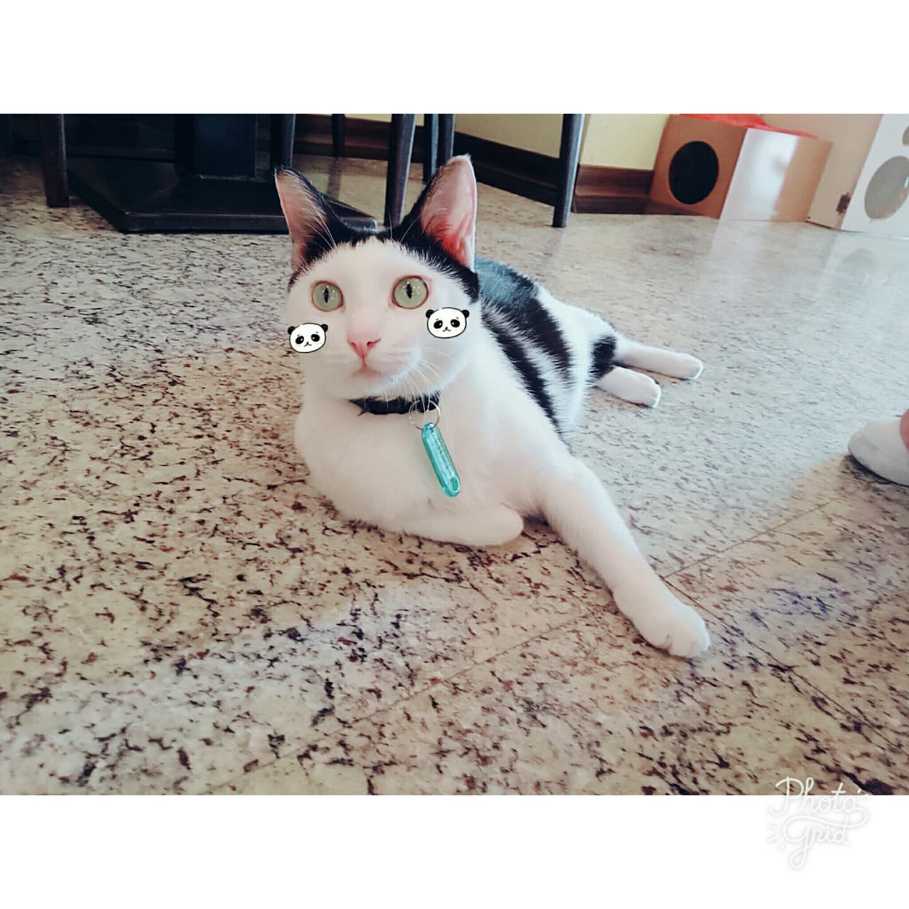 megapx