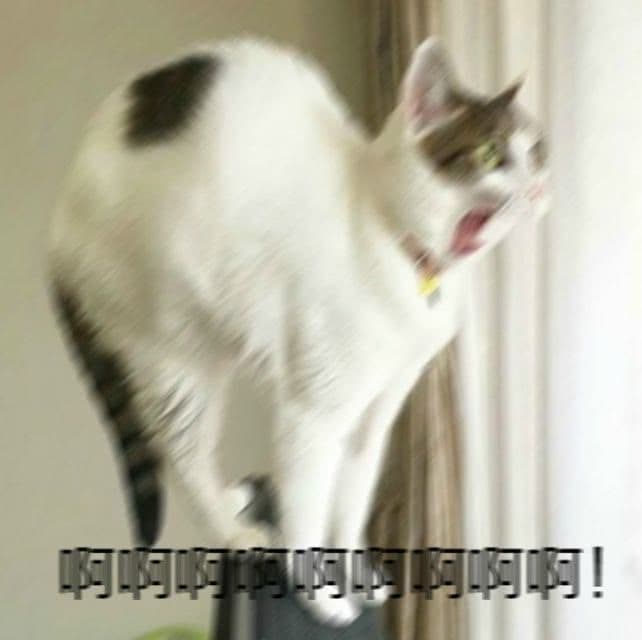 megapx