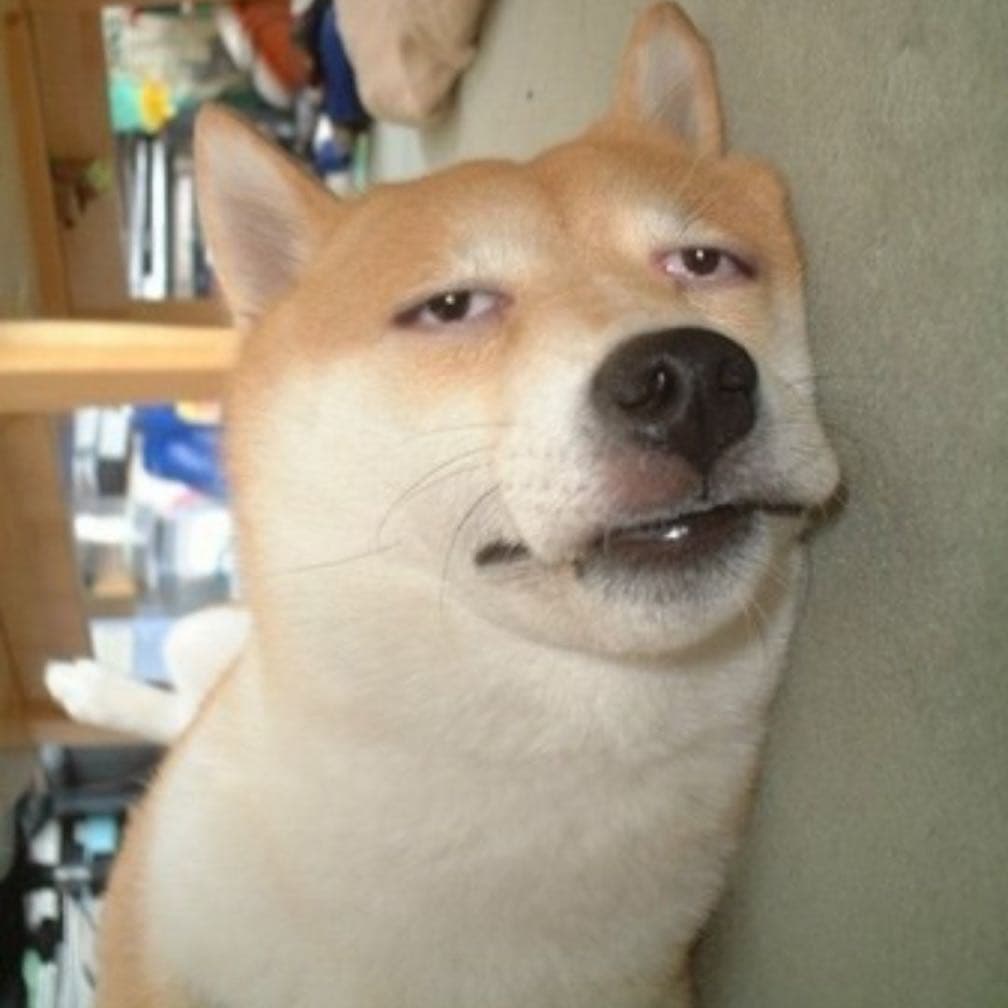 統研所碩二上心得- 研究所板| Dcard