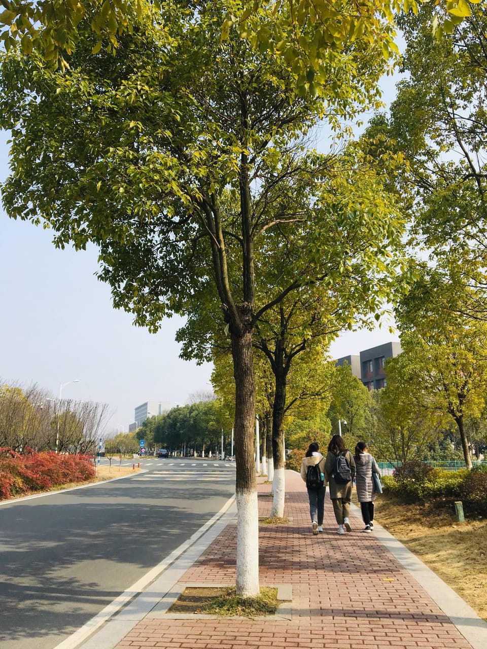 關於南京大學ep1 - 留學板 | Dcard