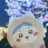 小鸚鵡