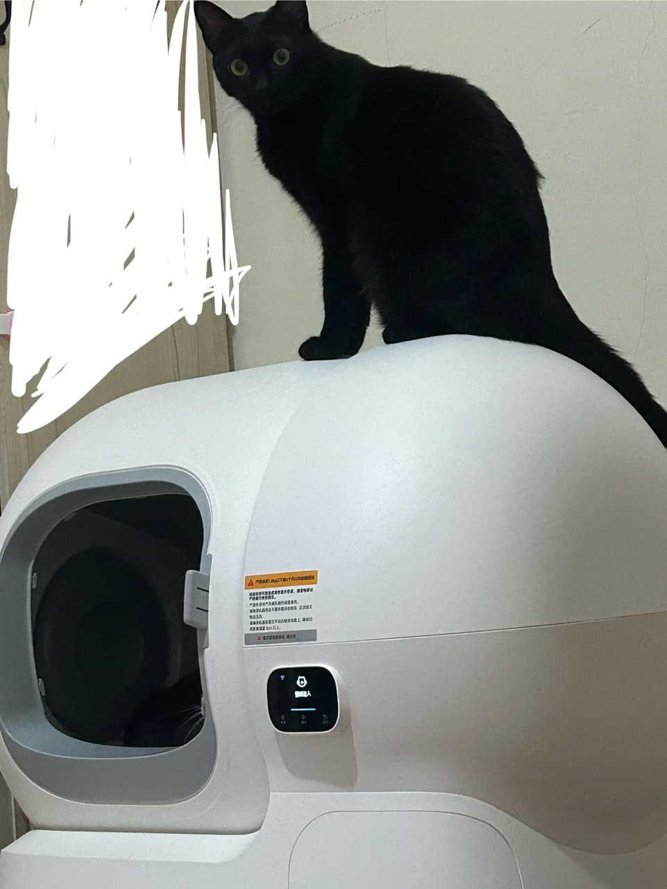 megapx