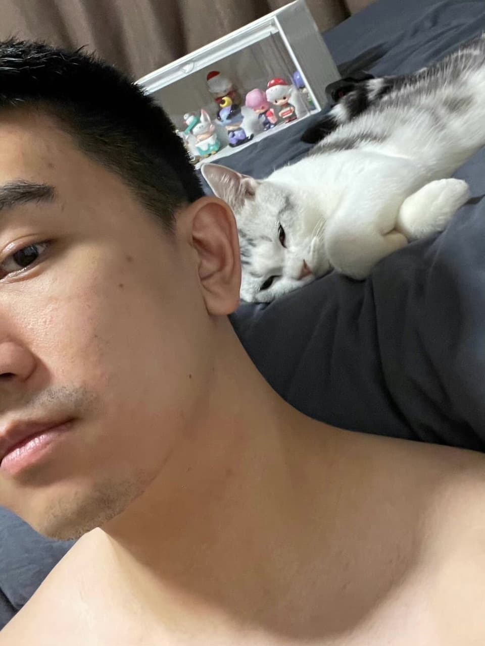 網路詐騙#虛擬貨幣假交易所Gemini - 反詐騙板| Dcard