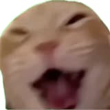 whoisowen