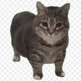 51121