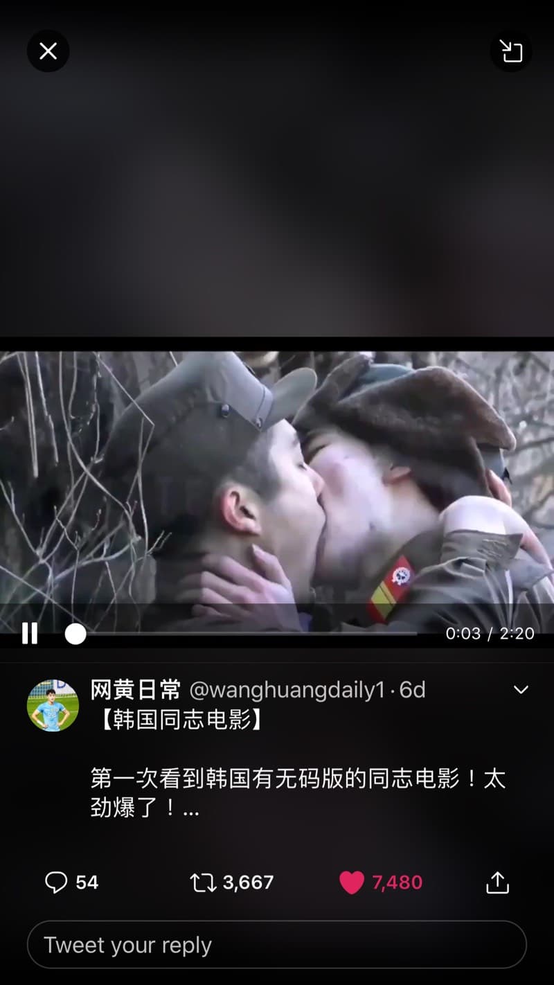 Gay 片 韓國