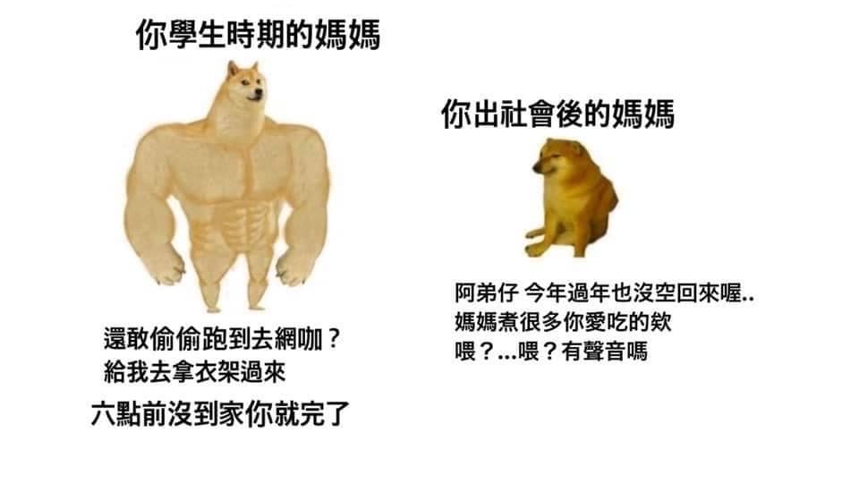 meme的用法逐漸失控（？） - 梗圖板 | Dcard