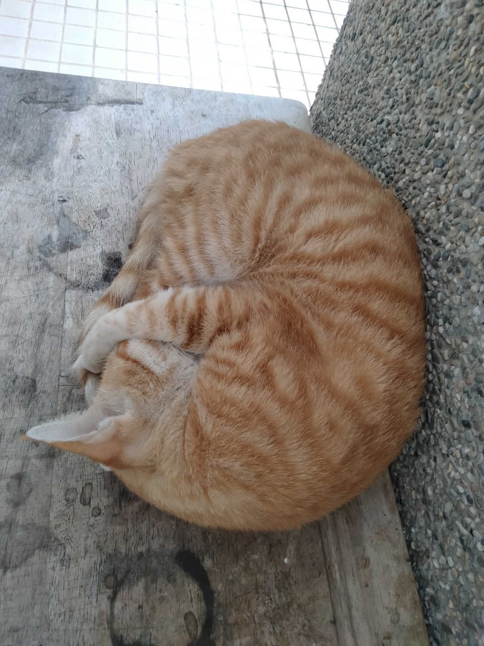 megapx
