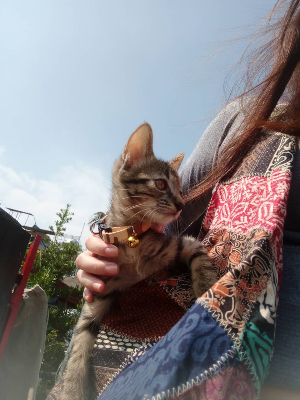 megapx
