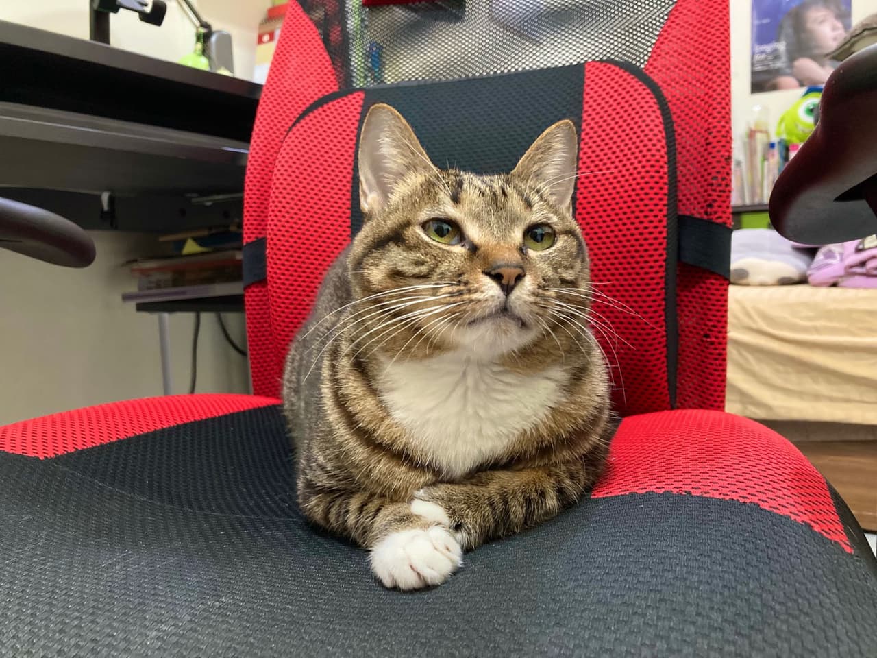 megapx