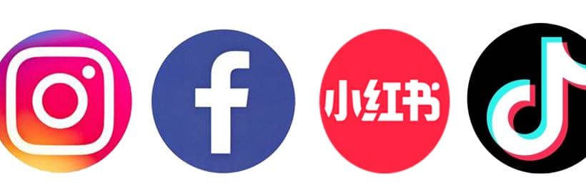 一粒拍拍走