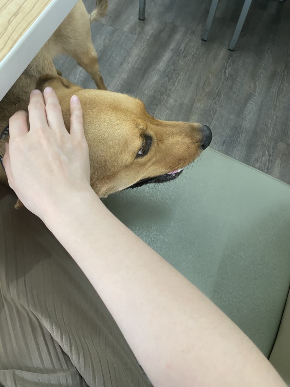 分享小屈入坑的夏日好物🌞 - 美妝板| Dcard