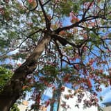 小兵立大功