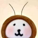 第11束鳶尾