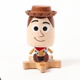 fashion_woody