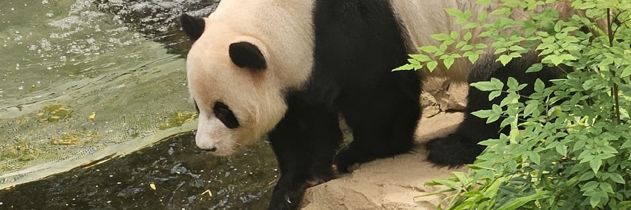 熊水🐻