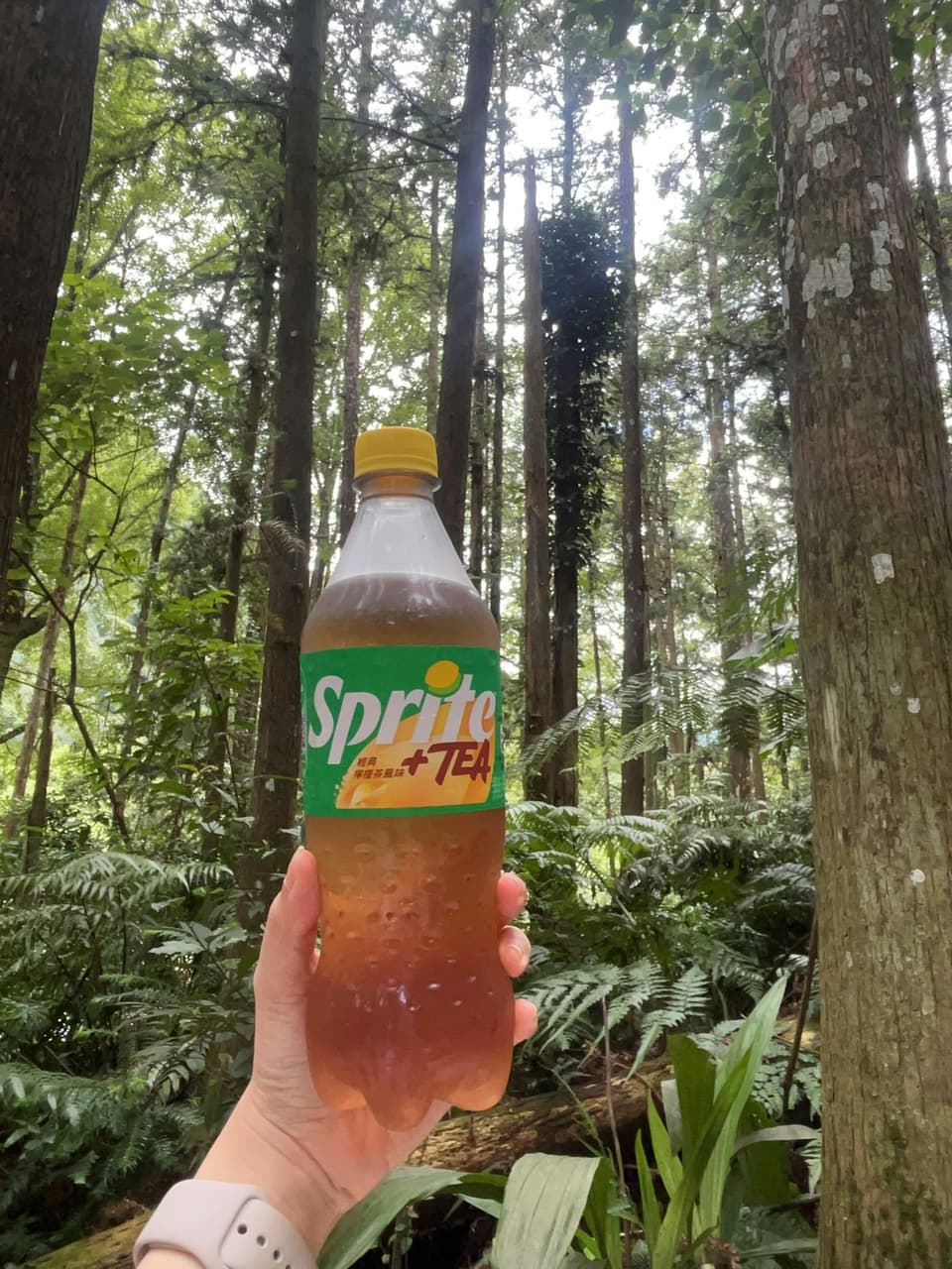 megapx